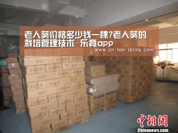 乐竟体育官网