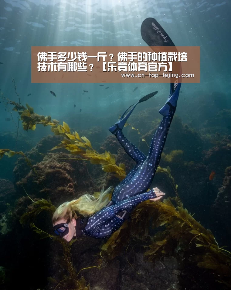 乐竟体育官网