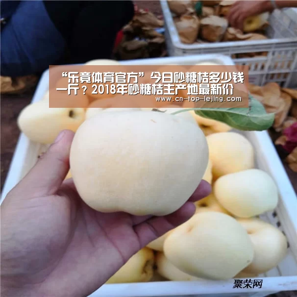 乐竟体育官网
