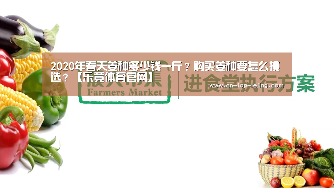 2020年春天姜种多少钱一斤?购买姜种要怎么挑选?【乐竟体育官网】(图2) 乐竟体育官网