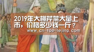 乐竟体育官方