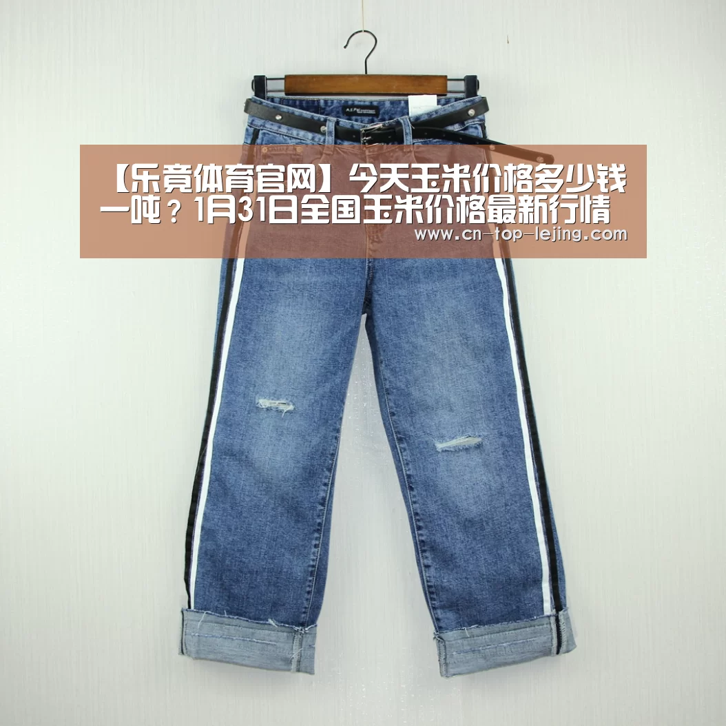乐竟体育官网