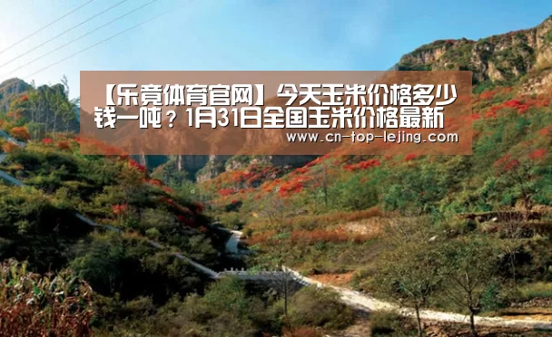 乐竟体育app