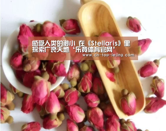 乐竟app
