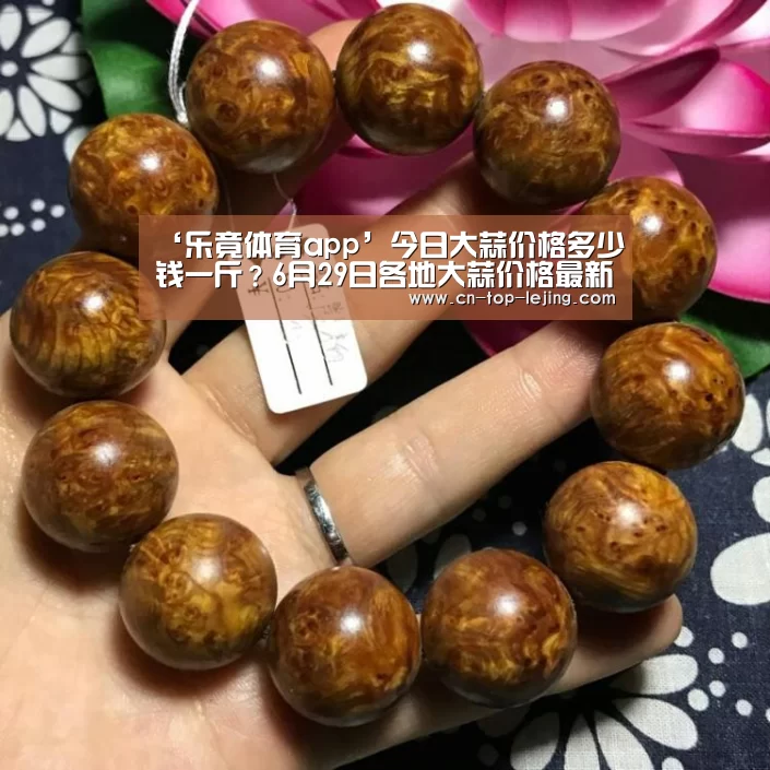 乐竟体育官网