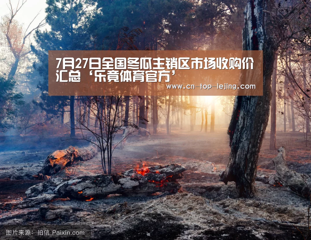 乐竟体育官方