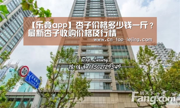 乐竟体育官方