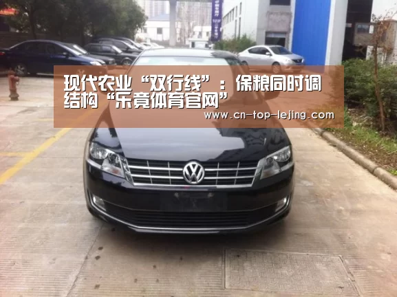 乐竟体育官方