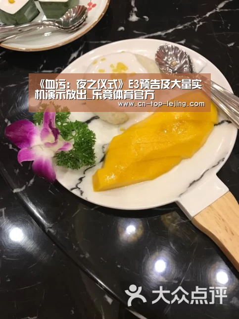 《血污:夜之仪式》E3预告及大量实机演示放出_乐竟体育官方(图3) 乐竟体育官网